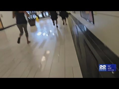 Suspect in custody after shots fired at Holyoke Mall, police say no ongoing threat
