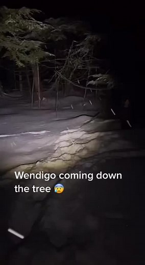 Wendigo Caught on Camera? Terrifying Tree Sounds!