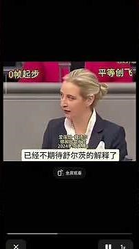 0帧起飞魏德尔，魏德尔霸气怒怼布林肯，霸气批评德国高层#trending #weidel #布林肯 #blinken #美国 #国际政治