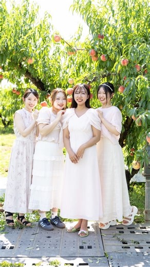 𝑀𝐴𝑁𝐴𝑀𝐼／愛実🍑 |桃畑🍑🌸＠福島 on Instagram: "「ふくしまの桃畑と桃を楽しむ会」の動画ができました🍑 東京から女の子たちが、今年の夏に桃畑に来てくれました。 その世界観を思う存分楽しんでくれて、さらには東京でも桃を楽しむ会を・・・🍑🩷🕊️ 畑では、もも色でもも収穫と味見🌟 そして東京のお店では、なんと桃を使った１３種類のメニュー！ 桃農家でもそんなに食べません。笑 全て美味しかったです🥹🩷 キラキラな動画ですが、彼女たちは過酷な福島での夏の暑さをリアルに知って経験してくれてます。 （5月に摘果に来てくれてる子も！） だからこそのアフターパーティも一緒に楽しめました⭐︎ 福島でも、 遠くても、 畑と、 果物を、 とにかく愛しく感じてもらえたらと願っています🕊️ おすすめは動画の通り、 ①夏は福島の桃
