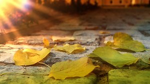 Little summer town "Rostov the great" / Ростов Великий