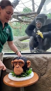 3.8K reactions · 102 shares | He Saw Her Cut His Friend... So He Fought Back. #funny #shorts #trending #fyp #aimonkey #viral #tiktok #ai #foryou #chimpanzee #usa | chch | Facebook
