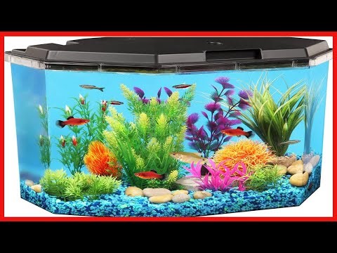Quality product - Modern LED Desktop Aquarium for a Brilliant Home Aquatic Display