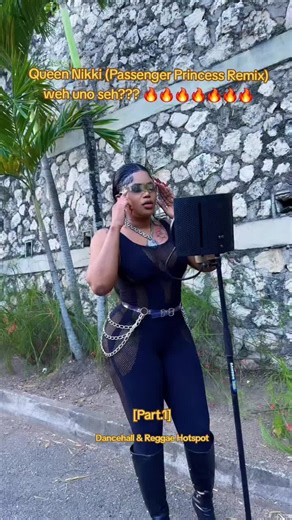 Queen Nikki: Passenger Princess Remix - Dancehall Vibes