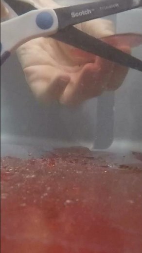 Cutting Glass With Scissors