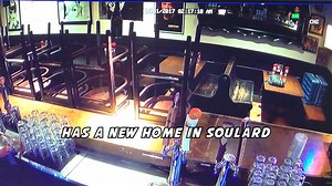 Arbitrary Judgment: Completely Absurd Trivia has moved to Eat Crow ( @eatcrowstl ) in Soulard! The same ol' Kenny as host, but new and improved! Featuring $4 Cans and Drafts of 4 Hands! Every Monday at 9PM - Free to play | The Crow's Nest