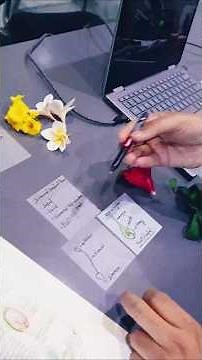 Sexual Reproduction in Flowering Plants | How do organism Reproduce ? #mittalsir