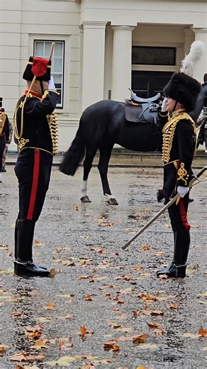 King's Troop Royal Horse Artillery to perform gun salutes for the King's Birthday #london #artillery #history #fblifestyle #tradition | Jake John Reels