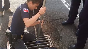 Firefighters rescue ducklings under mother duck's careful supervision: https://yhoo.it/2q0I5Oz (Credit: DC Fire and EMS) | Yahoo Canada