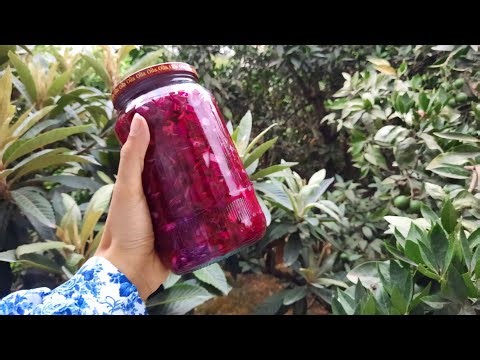 Pickled Cabbage Recipe✨️ | Quick and Easy Method at Home😋