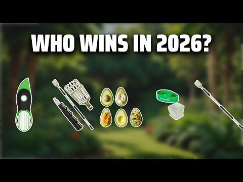 The Top 5 Best Avocado Tree in 2026 - Must Watch Before Buying!
