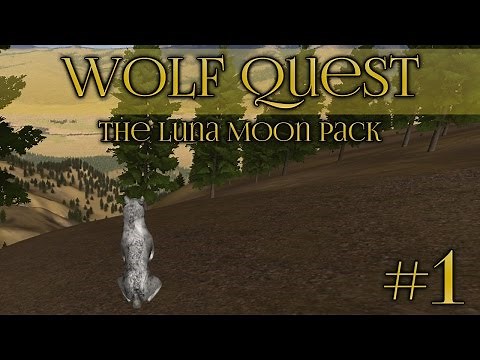 Wolf Quest 🐺 Learning To Hunt - Episode #1