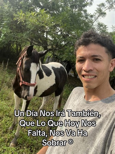 Videos de Studio98tattooBalzar (@studio.98tattoo) con “sonido original - FM_Pisterra23”