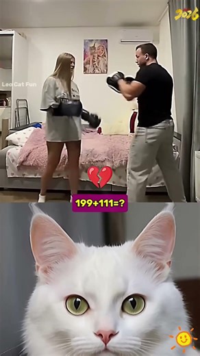 Por favor comparte con tus amigos #pov #herramientas #sketch #gracioso #actuación #historia