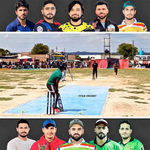 FMC vs TM: Cricket Match Highlights