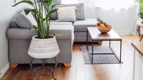 MOLIGOU Cast Iron Plant Stand, Heavy Duty Flower Pot Stand, Potted Plant Holder for Living Room, Bedroom, Entryway