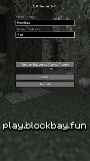 How to join the best CRACKED SMP! IP: play.blockbay.fun #shorts #gaming #lifstealsmp #minecraft