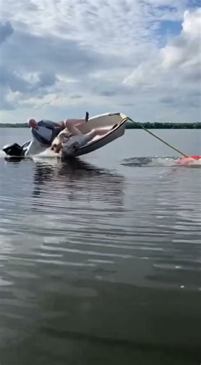 I can't stop watching this It just gets funnier every time 😂🔁 #WTF #Surreal #Shorts