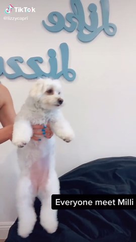 Lizzy Capri on TikTok