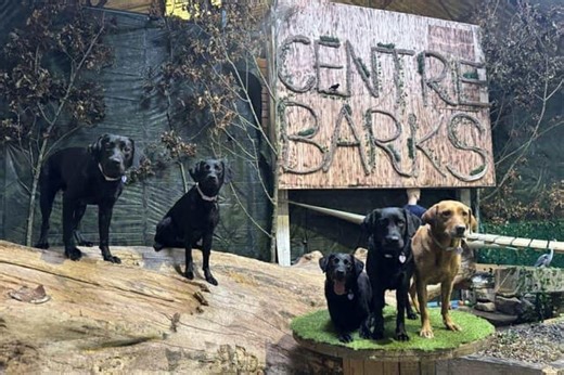 Revamped theme park for dogs opens in Doncaster - and the name is brilliant