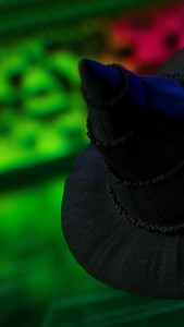 BRB sending our premiere fit to the group chat 💚✨ | Android