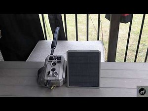 Is This the Next Best Trail Camera? The GardePro X66 Pro Cellular Trail Camera Review