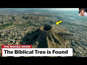 The Tree From Biblical Times Is Found❗❗😱 Angels Sliced It...