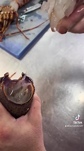 Tartara di Aragosta I cuoricini uauuu #pesce #pescefresco #pescecrudo #aragosta #divertimento #amore #amore #passione #divertimento #tartare #cucina #cucinaitaliana #cucinamediterranea | Chef Carmelo Ferreri