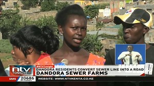 Dandora Sewer Farms: Nairobi residents stare at a potential health crisis as some residents use raw sewage to grow vegetables. #NTVTonight | NTV Kenya