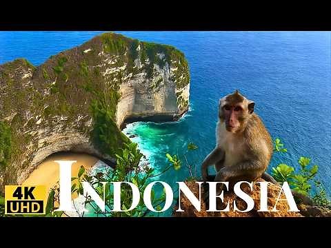 Wild Indonesia in 4K : Monkeys, Beautiful Birds and Paradise Islands