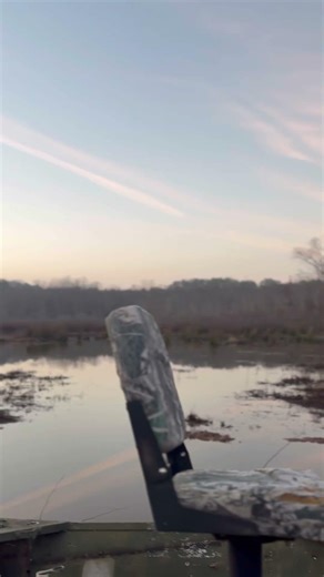 #swamplands #hunting #ducks #wildlife #photographer ￼