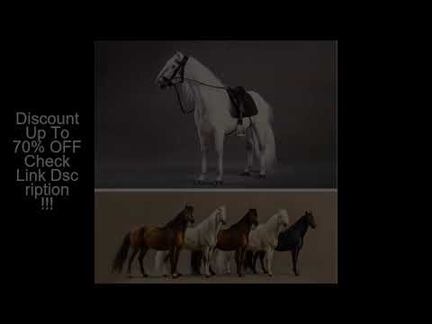 About 21CM 1/12 scale simulation PVC warm blood horse Mounts Horse animal model mount Kids Toys home
