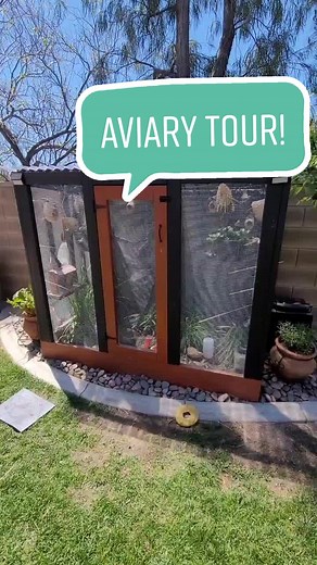 #quail #aviary #zebrafinch #birdsounds #automatic #suburbanhomestead #tour @mblfuntes5