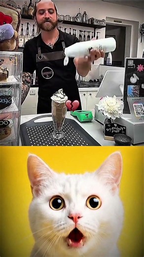 3 hours of sleep 😅 #funny #memes #cat #trending