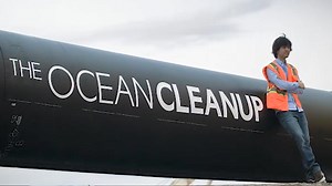 Pro Bono & Community Service