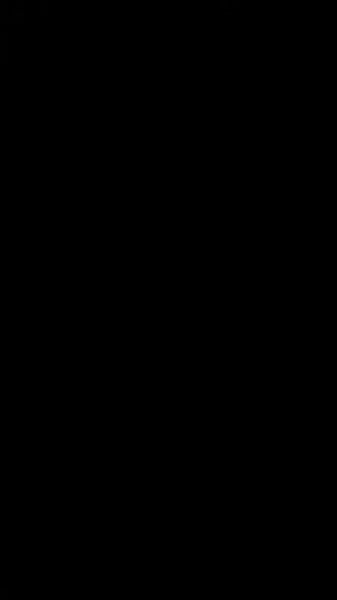 Tracy McGregor (@tracy.mcgregor)’s videos with original sound - музыка для липсингов💘