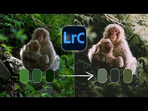 How to Master MOODY GREEN & BLUE TONES in Lightroom (Step-by-Step Tutorial)