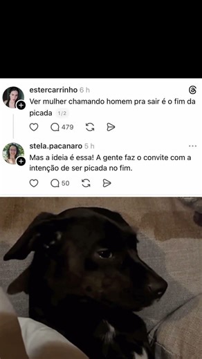 Tá saidinha demais - 59 #comentariosdanet