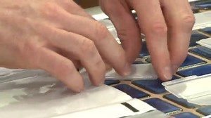 Watch LabTech LT5120 Mold Test Kit on Amazon Live