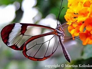 One Beautiful Day Front Range