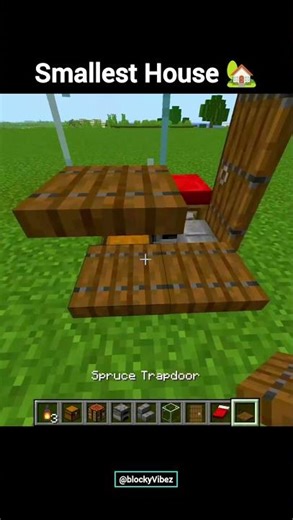 Minecraft Smallest House 🏠🤯 #shorts #minecraft