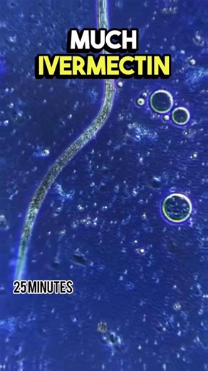 18K views · 120 reactions | People are eating horse paste  ___...