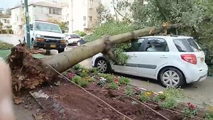 ⚠️ SEVERE WINTER STORM PEAKS ACROSS ISRAEL, TRIGGERING FLOODING, ROAD CLOSURES, AND RED WEATHER ALERTS 🕑 December 29, 2025 | 11:00 AM ⚠️ Red Alert Issued as Storm Reaches Peak: A powerful winter storm is reaching its peak across Israel. The Israel Meteorological Service issued a red alert for wide areas, including Samaria, the Sharon region, Emek Hefer, the Shfela, and the Dan area, warning of heavy rainfall over short periods and a high risk of dangerous flooding. 🌧️ Flash-Flood Threat in Riv