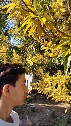 flowering season😃 #viral #minivlog #shortvideo #trending #motivation #shorts #support #youtubeshorts