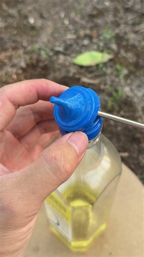 Tips for using cooking oil bottles #tips #diy #tools