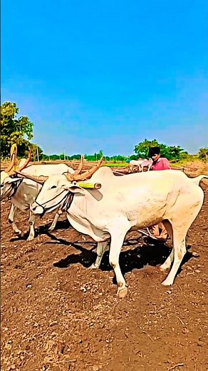 👿💯🚨🔥🚨😡🐂😱😱💯👿🔥👍🔥😉