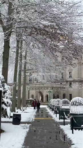 Newport Mansions on Instagram: "Winter at the mansions ❄️✨️⁠ ⁠ #newportmansions #newenglandwinter #newportri"