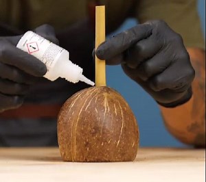 Functional crafts created out of real fruits! | 5-Minute Crafts