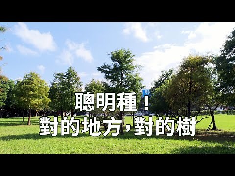 【智慧種樹】聰明種 ! 對的地方，對的樹 (我們的島 1111集 2021-06-28)