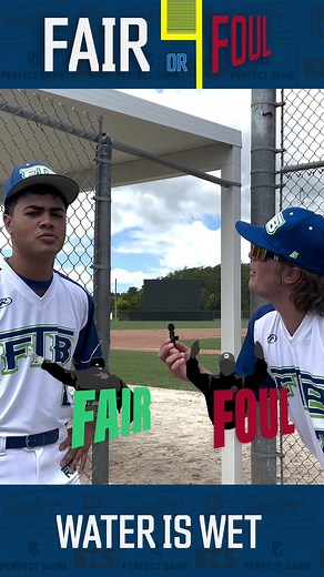 be the umpire: fair or foul?